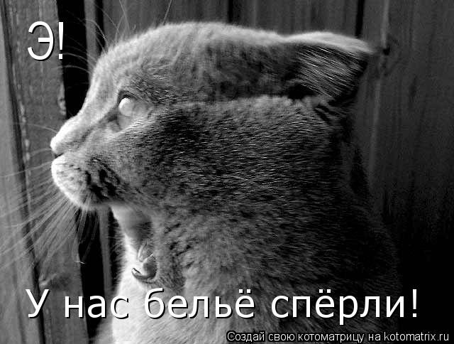 Котоматрица: Э! У нас бельё спёрли!