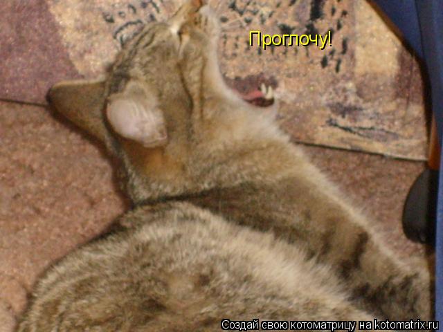Котоматрица: Проглочу!