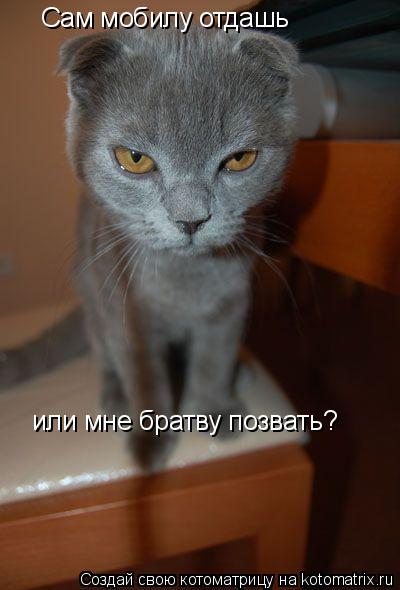 Котоматрица: Сам мобилу отдашь или мне братву позвать?