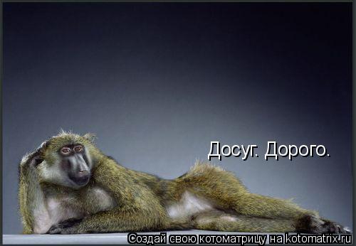 Досуг. Дорого.... Котоматрица: Досуг. Дорого.