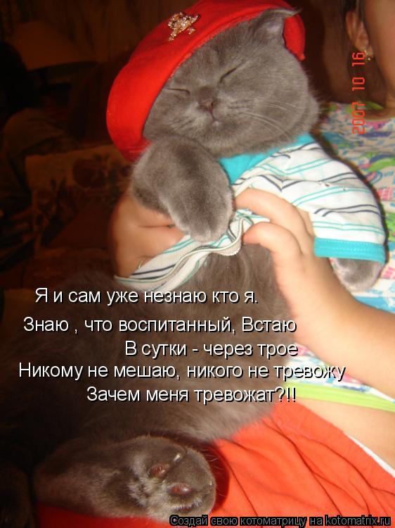 Я и сам уже незнаю кто я. Знаю , что воспитанный, Встаю В сутки - через трое Никому не мешаю, никого... Котоматрица: Я и сам уже незнаю кто я. Знаю , что воспитанный, Встаю В сутки - через трое Никому не мешаю, никого не тревожу Зачем меня тревожат?!!