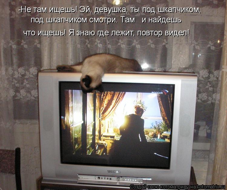 Котоматрица: -Не там ищешь! Эй, девушка, ты под шкапчиком,  что ищешь! Я знаю где лежит, повтор видел! под шкапчиком смотри. Там   и найдешь