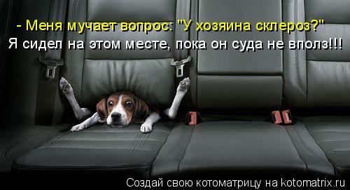 Котоматрица: - Меня мучает вопрос: "У хозяина склероз?" Я сидел на этом месте, пока он суда не вполз!!!