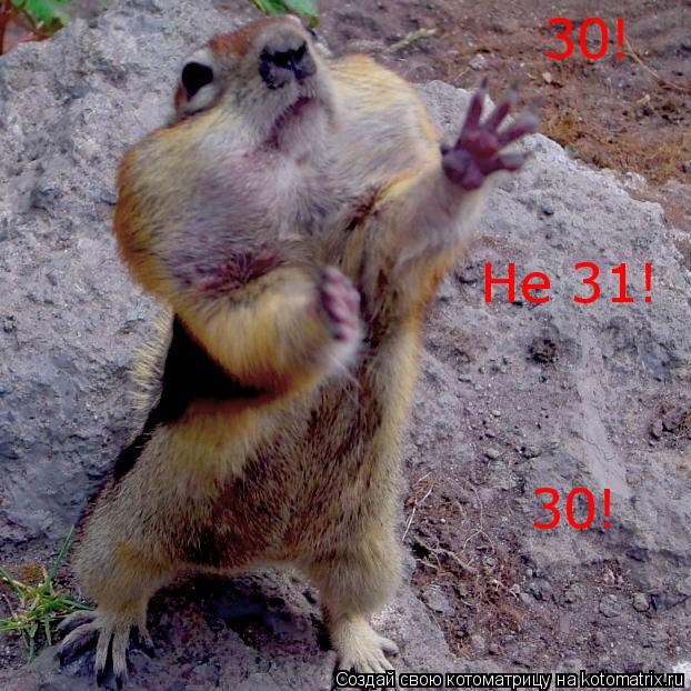 Котоматрица: 30! Не 31! 30!