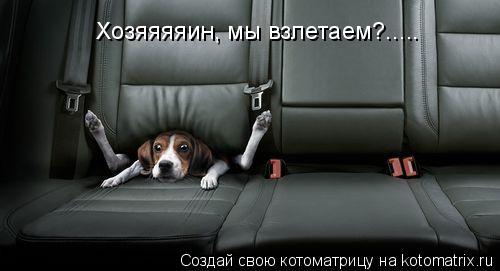 Котоматрица: Хозяяяяин, мы взлетаем?.....