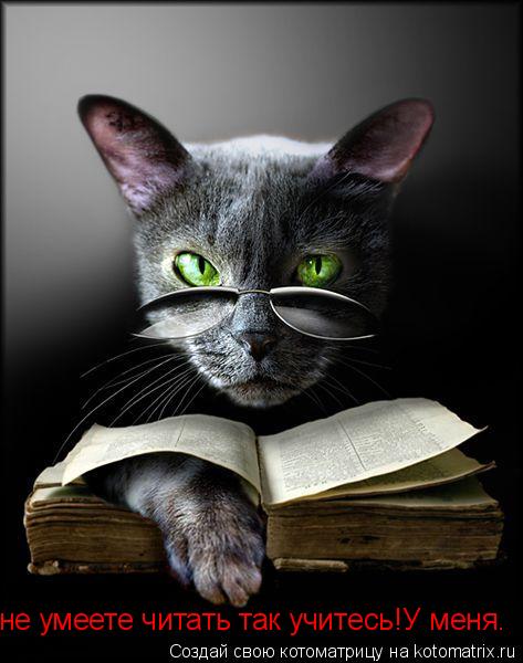 Котоматрица: не умеете читать так учитесь!У меня.