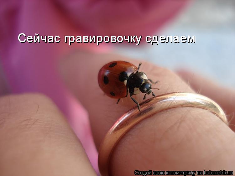 Котоматрица: Сейчас гравировочку сделаем