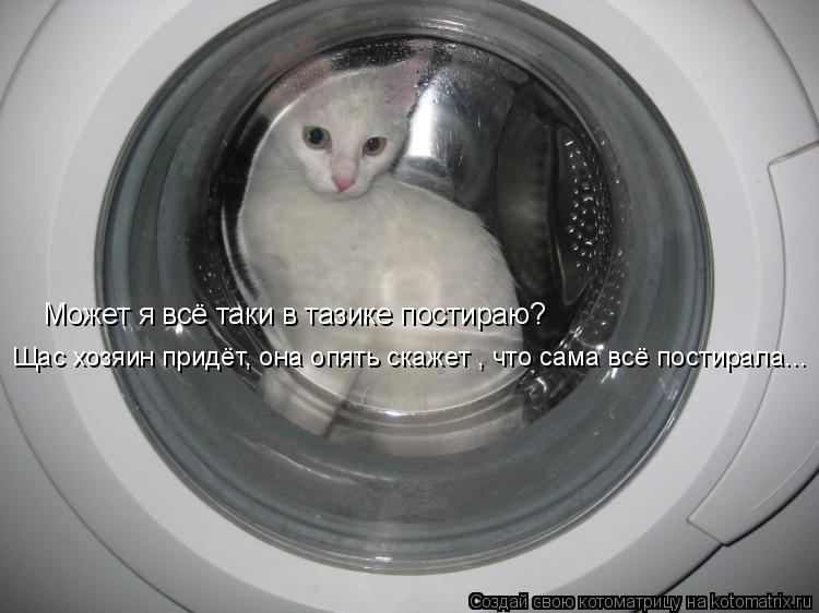 Котоматрица: Может я всё таки в тазике постираю? Щас хозяин придёт, она опять скажет , что сама всё постирала...