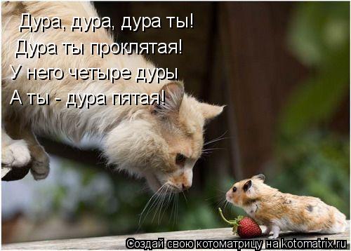 Дура, дура, дура ты! Дура ты проклятая! У него четыре дуры А ты - дура пятая!... Котоматрица: Дура, дура, дура ты! Дура ты проклятая! У него четыре дуры А ты - дура пятая!