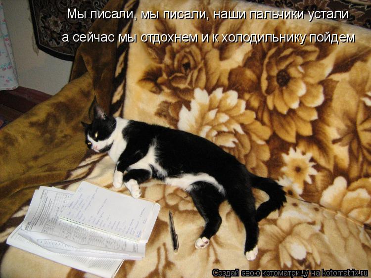 Мы писали, мы писали, наши пальчики устали а сейчас мы отдохнем и к холодильнику пойдем... Котоматрица: Мы писали, мы писали, наши пальчики устали а сейчас мы отдохнем и к холодильнику пойдем