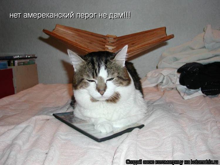 Котоматрица: нет амереканский перог не дам!!!