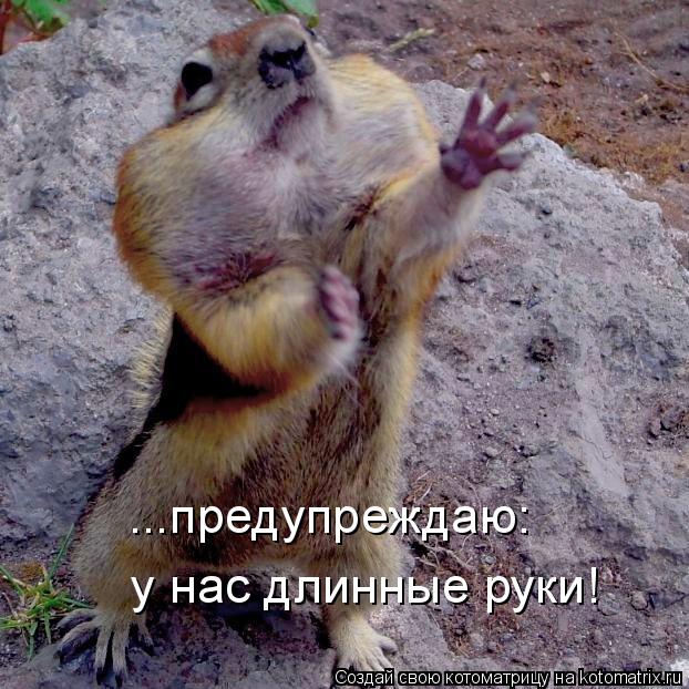 ...предупреждаю: у нас длинные руки!... Котоматрица: ...предупреждаю: у нас длинные руки!