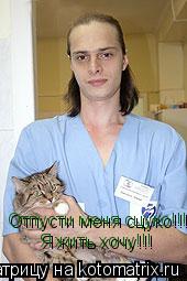 Котоматрица: Отпусти меня сцуко!!! Отпусти меня сцуко!!! Я жить хочу!!! Я жить хочу!!!