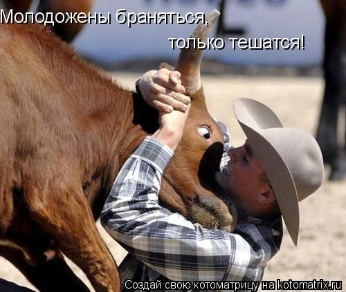 Котоматрица: Молодожены браняться, только тешатся!