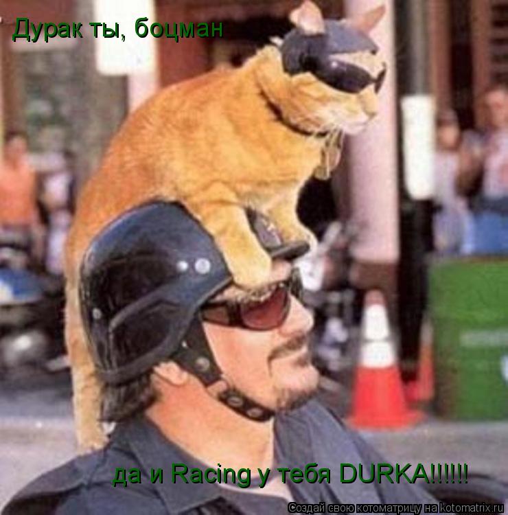 Дурак ты, боцман да и Racing у тебя DURKA!!!!!!... Котоматрица: Дурак ты, боцман да и Racing у тебя DURKA!!!!!!