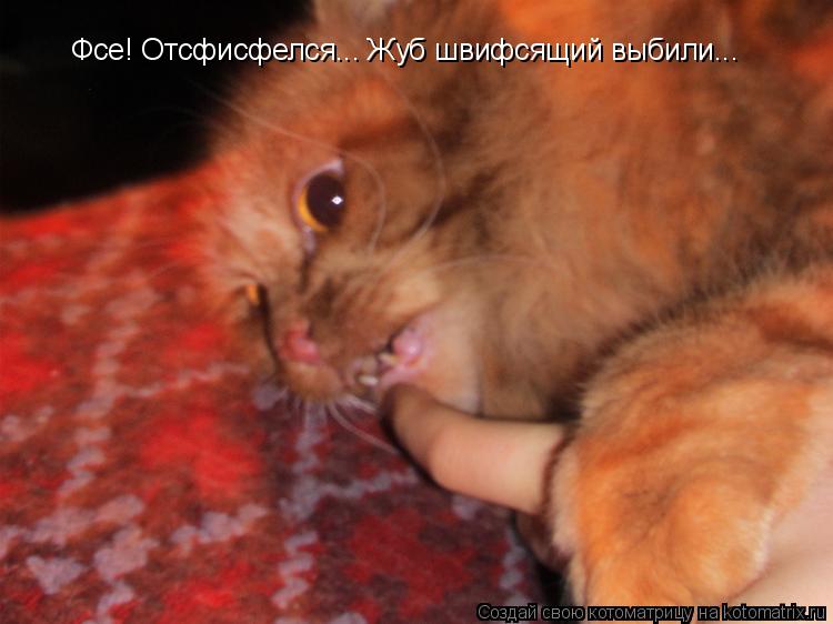 Фсе! Отсфисфелся... Жуб швифсящий выбили...... Котоматрица: Фсе! Отсфисфелся... Жуб швифсящий выбили...