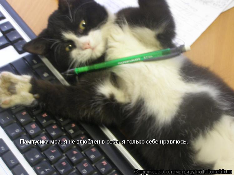 Котоматрица: Пампусики мои, я не влюблен в себя, я только себе нравлюсь.