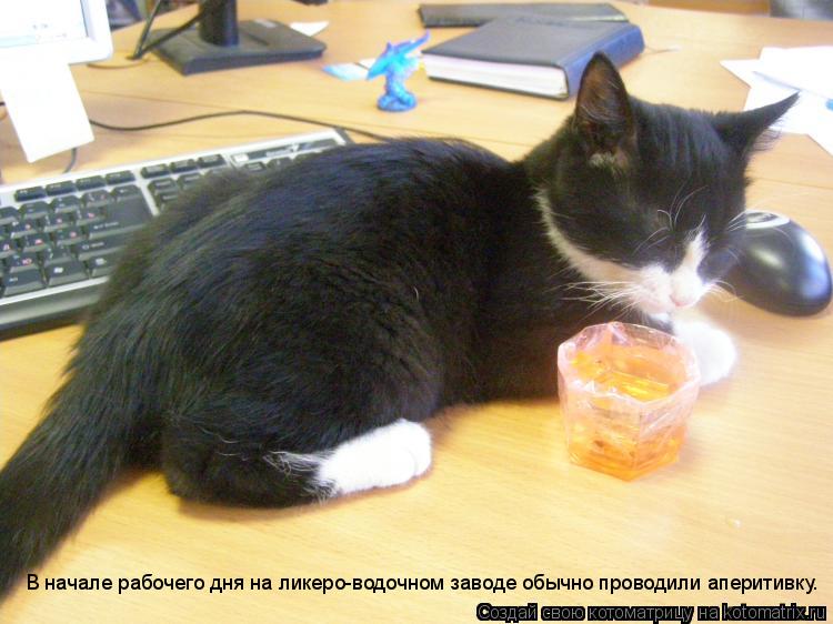 Котоматрица: В начале рабочего дня на ликеро-водочном заводе обычно проводили аперитивку…
