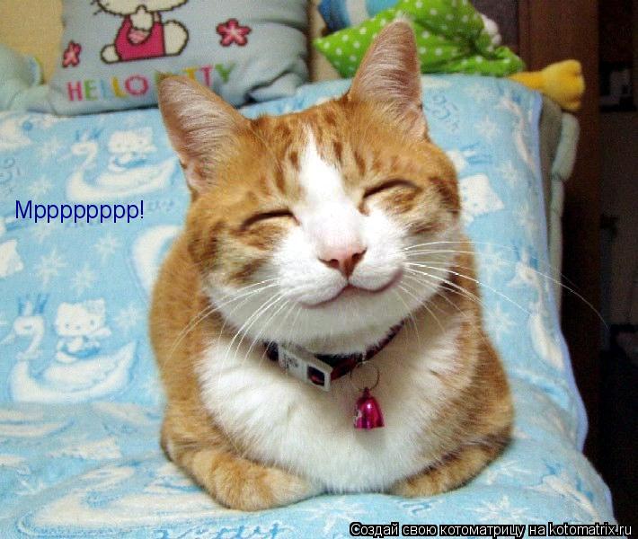 Котоматрица: Мрррррррр!