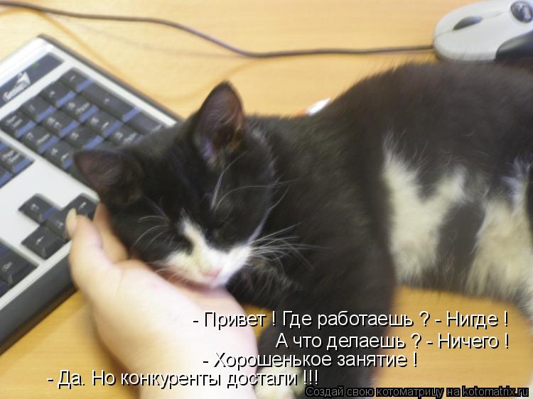 Котоматрица: - Привет ! Где работаешь ? - Нигде ! А что делаешь ? - Ничего ! - Хорошенькое занятие ! - Да. Но конкуренты достали !!!