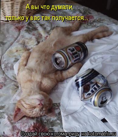 Котоматрица: А вы что думали, только у вас так получается... А вы что думали,  только у вас так получается...