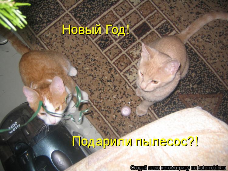 Котоматрица: Новый Год! Подарили пылесос?!