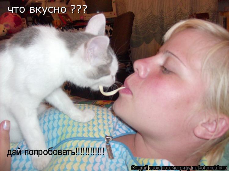 Котоматрица: что вкусно ??? дай попробовать!!!!!!!!!!!!