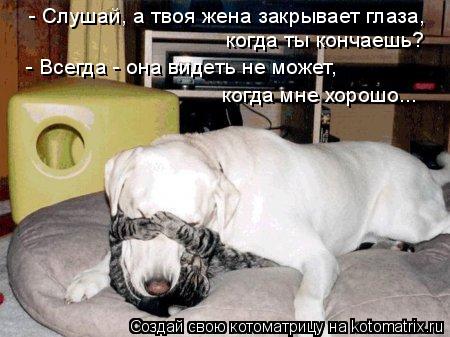 Котоматрица: - Слушай, а твоя жена закрывает глаза,  когда ты кончаешь? - Всегда - она видеть не может, когда мне хорошо...