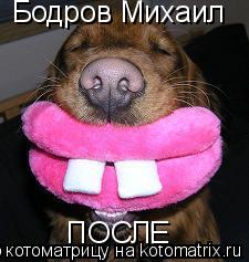 Котоматрица: Бодров Михаил ПОСЛЕ