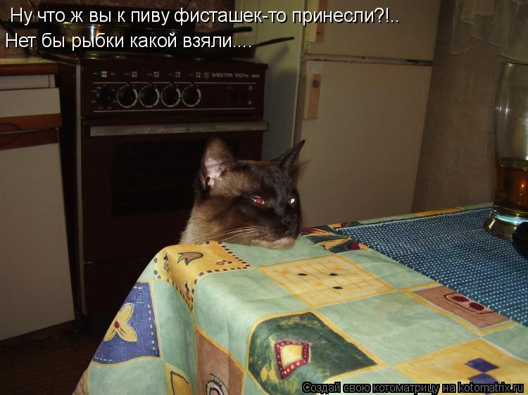 Ну что ж вы к пиву фисташек-то принесли?!.. Нет бы рыбки какой взяли....... Котоматрица: Ну что ж вы к пиву фисташек-то принесли?!.. Нет бы рыбки какой взяли....