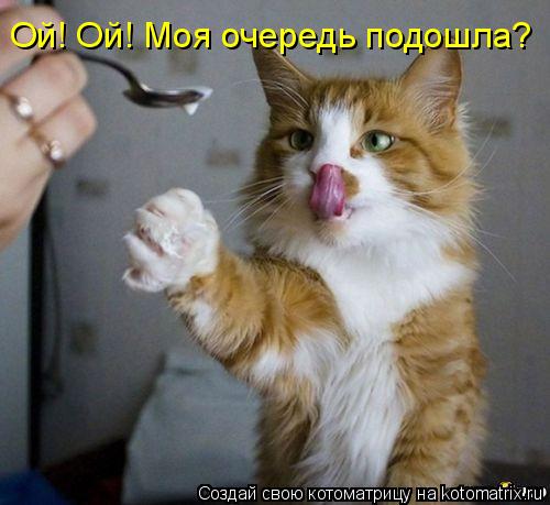 Котоматрица: Ой! Ой! Моя очередь подошла?