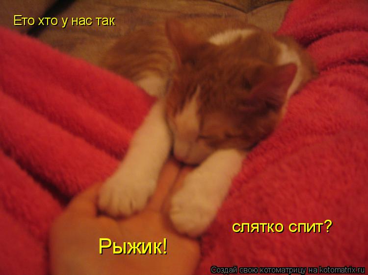 Котоматрица: Ето хто у нас так слятко спит? Рыжик!