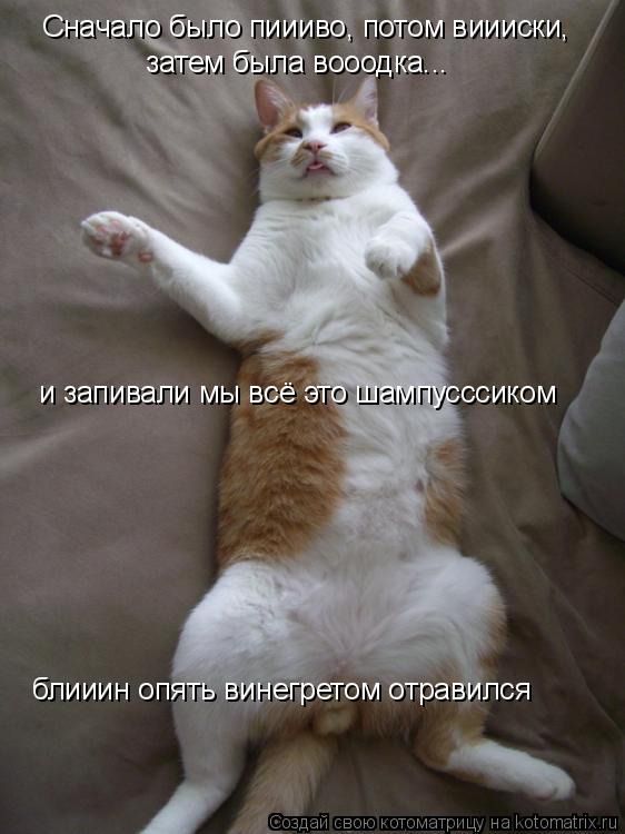 Котоматрица: Сначало было пиииво, потом виииски, затем была вооодка...  и запивали мы всё это шампусссиком блииин опять винегретом отравился