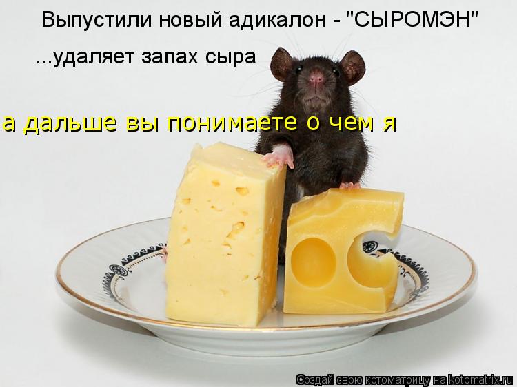 Выпустили новый адикалон - "СЫРОМЭН" ...удаляет запах сыра а дальше вы понимаете о чем я... Котоматрица: Выпустили новый адикалон - "СЫРОМЭН" ...удаляет запах сыра а дальше вы понимаете о чем я