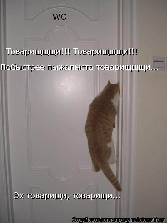 WC Товарищщщи!!! Товарищщщи!!! Побыстрее пыжалыста товарищщщи... Эх товарищи, товарищи...... Котоматрица: WC Товарищщщи!!! Товарищщщи!!! Побыстрее пыжалыста товарищщщи... Эх товарищи, товарищи...