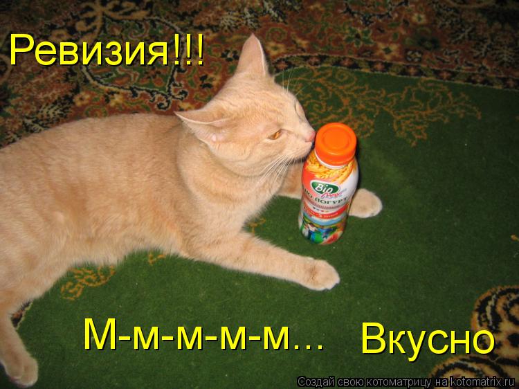 Котоматрица: М-м-м-м-м... Ревизия!!! Вкусно