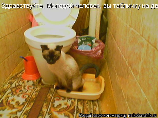 Котоматрица: Здравствуйте. Молодой человек, вы табличку на двери не видели Не  беспокоить!