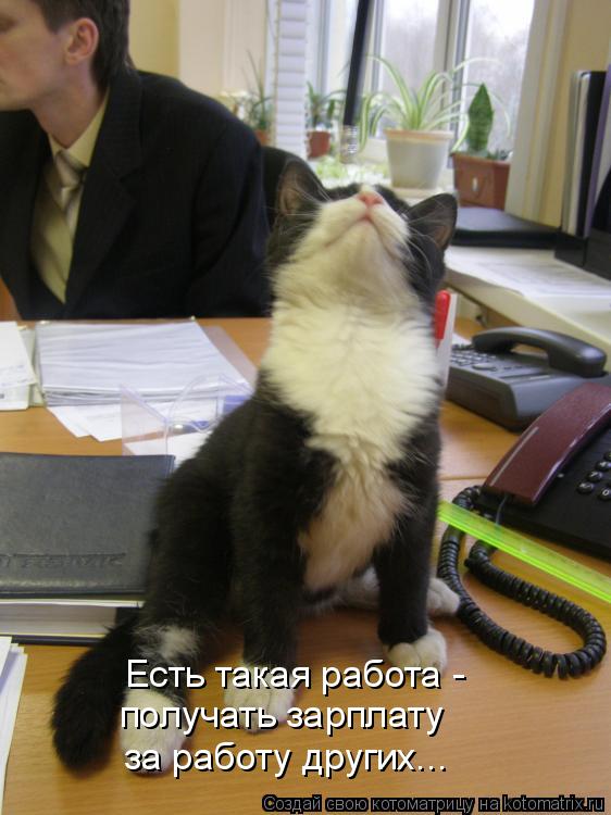 Котоматрица: Есть такая работа - получать зарплату  за работу других...