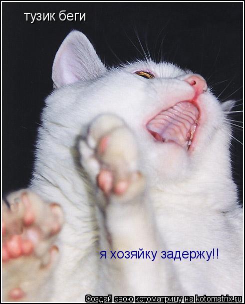тузик беги я хозяйку задержу!!... Котоматрица: тузик беги я хозяйку задержу!!
