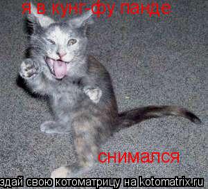 Котоматрица: я в кунг-фу панде  снимался