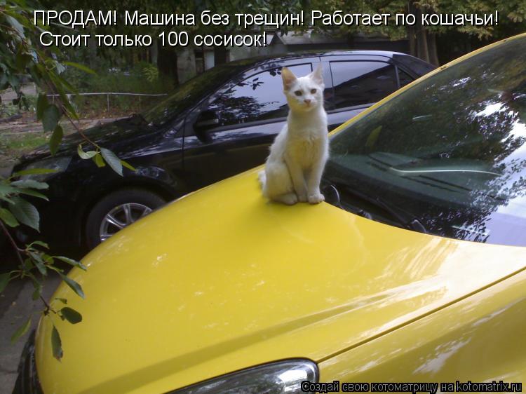 ПРОДАМ! Машина без трещин! Работает по кошачьи! Стоит только 100 сосисок!... Котоматрица: ПРОДАМ! Машина без трещин! Работает по кошачьи! Стоит только 100 сосисок!
