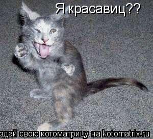 Котоматрица: Я красавиц??