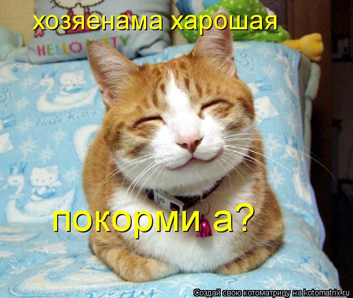 Котоматрица: хозяенама харошая покорми а?