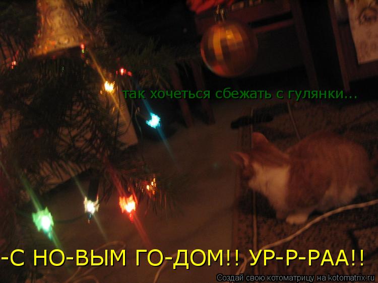 Котоматрица: так хочеться сбежать с гулянки... -С НО-ВЫМ ГО-ДОМ!! УР-Р-РАА!!