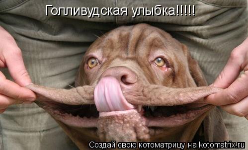 Котоматрица: Голливудская улыбка!!!!!