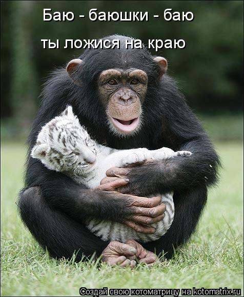 Баю - баюшки - баю ты ложися на краю... Котоматрица: Баю - баюшки - баю ты ложися на краю