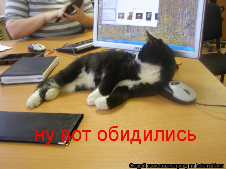 Котоматрица: ну вот обидились