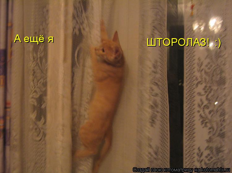 Котоматрица: А ещё я ШТОРОЛАЗ! :)