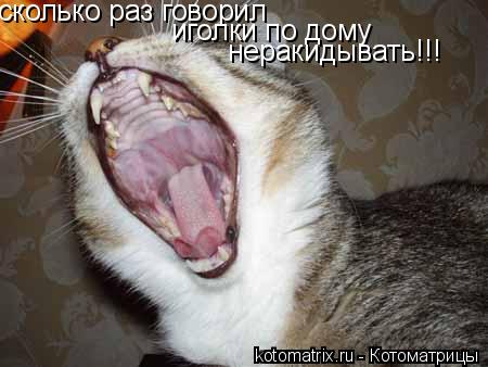 Котоматрица: сколько раз говорил иголки по дому  неракидывать!!!