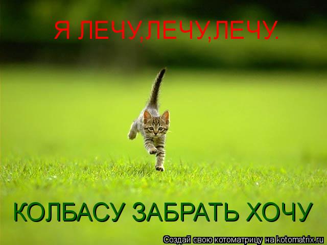 Котоматрица: Я ЛЕЧУ,ЛЕЧУ,ЛЕЧУ. КОЛБАСУ ЗАБРАТЬ ХОЧУ